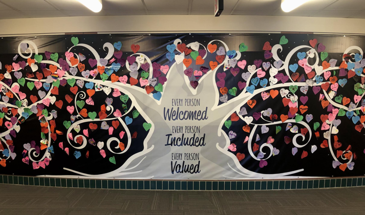 Volunteer Coordinator Needed!